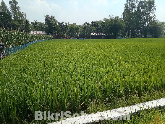 জমি বিক্রয়